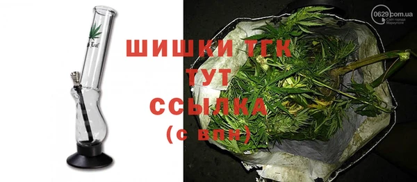 ПСИЛОЦИБИНОВЫЕ ГРИБЫ Пересвет