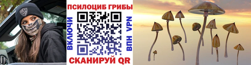 Галлюциногенные грибы Psilocybine cubensis  Семилуки 